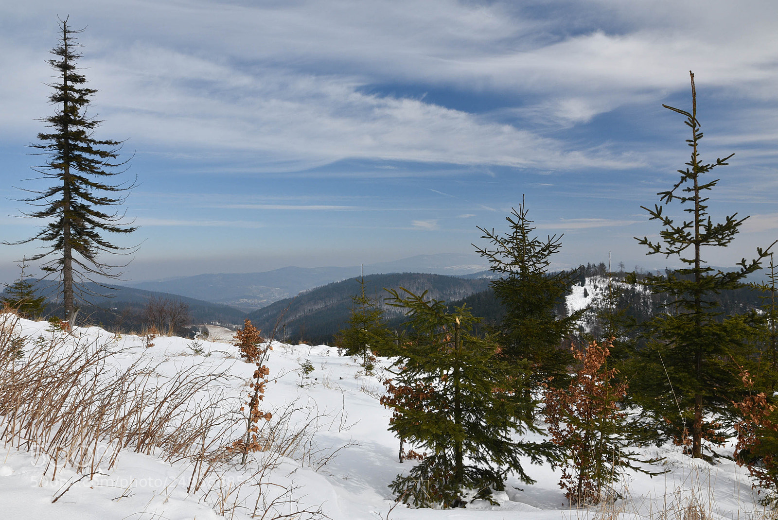 Nikon D7200 sample photo. Untitled photography
