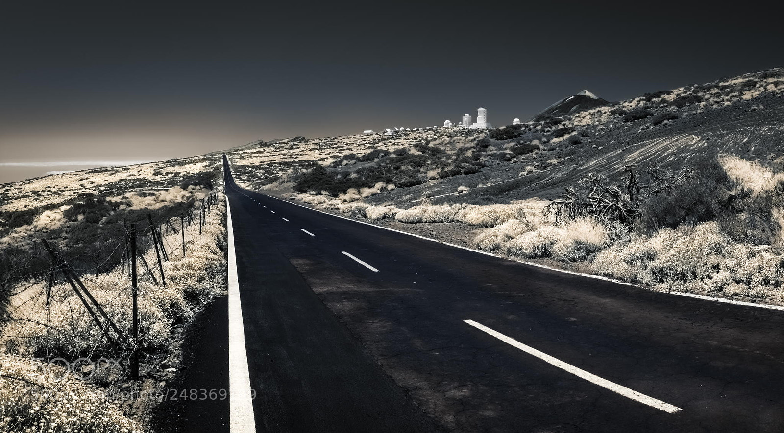 Canon EOS 40D sample photo. The long winding road photography