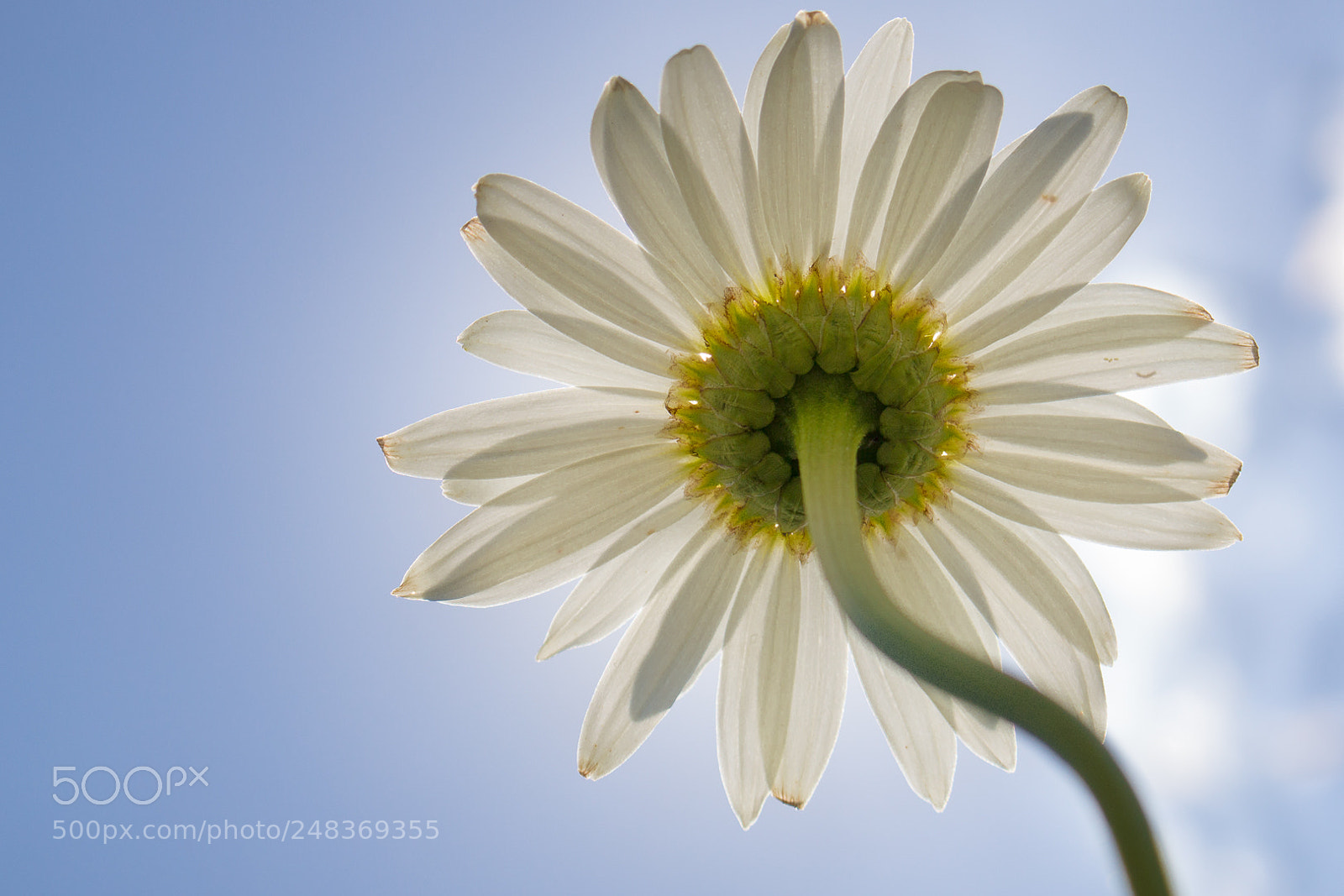 Canon EOS 700D (EOS Rebel T5i / EOS Kiss X7i) sample photo. Soaking up the sunshine photography