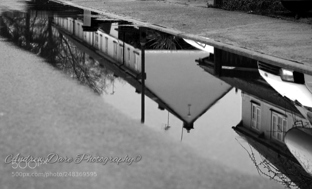 Nikon D810 sample photo. After the rain photography