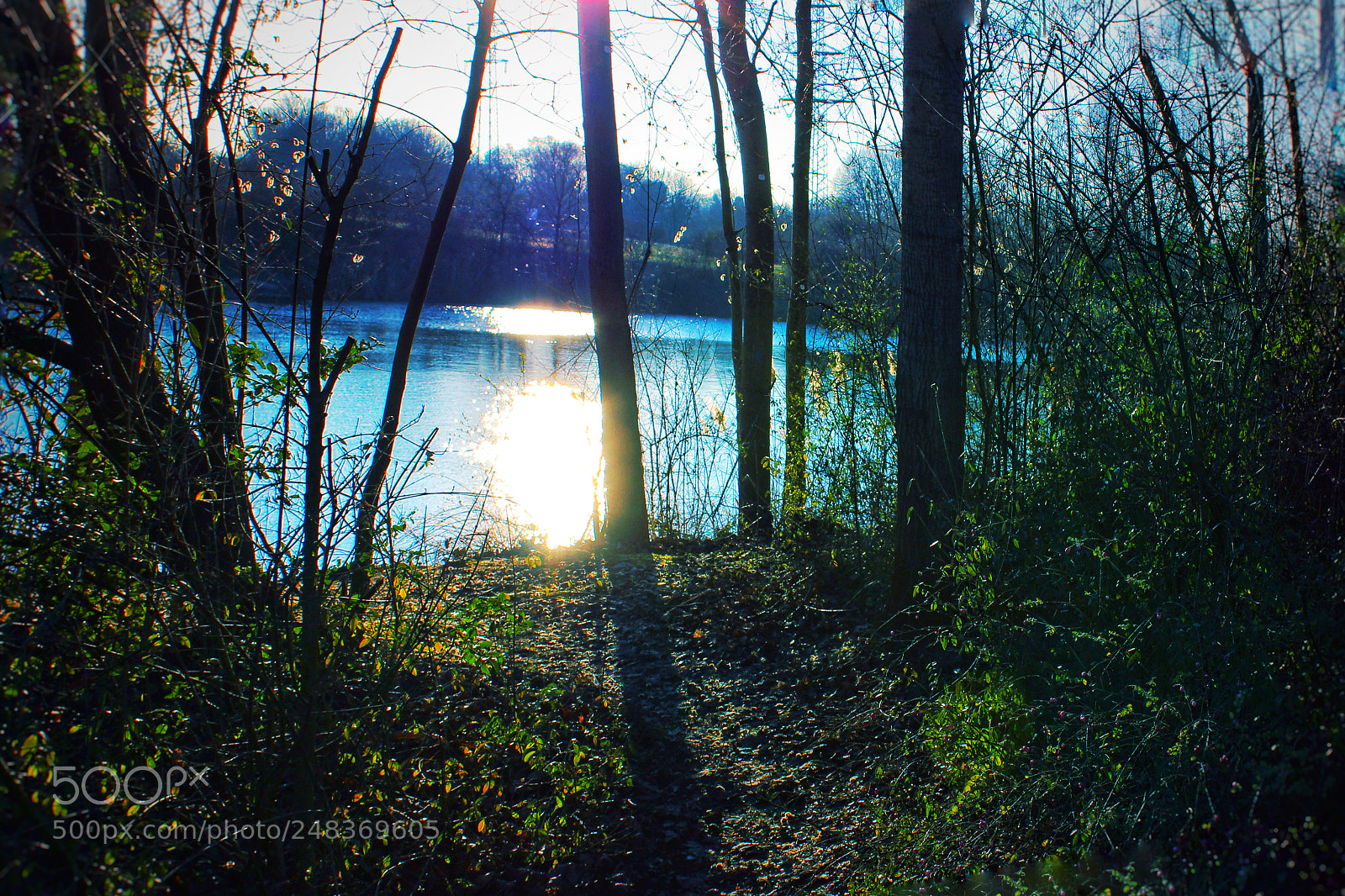 Canon EOS 600D (Rebel EOS T3i / EOS Kiss X5) sample photo. Wald see photography