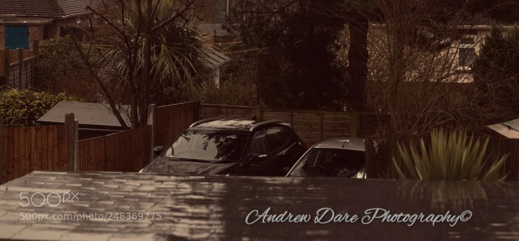 Nikon D810 sample photo. Reflection in the rain photography