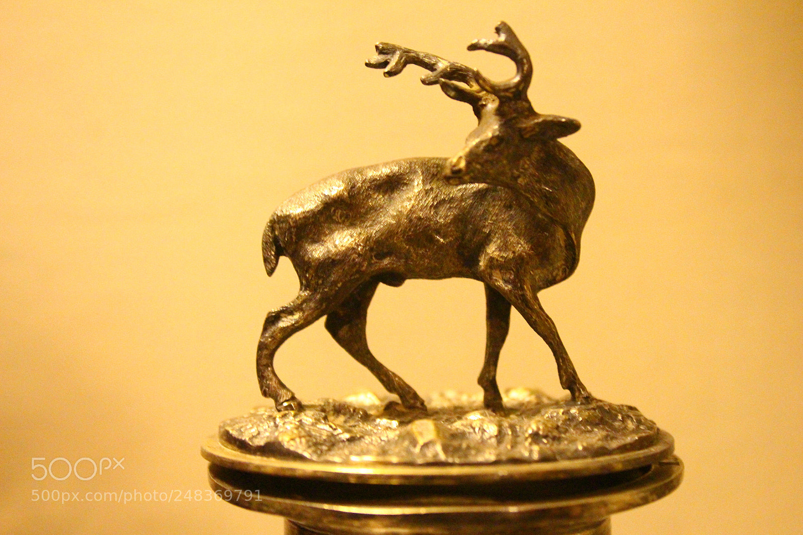 Canon EOS 700D (EOS Rebel T5i / EOS Kiss X7i) sample photo. Deer in brass photography