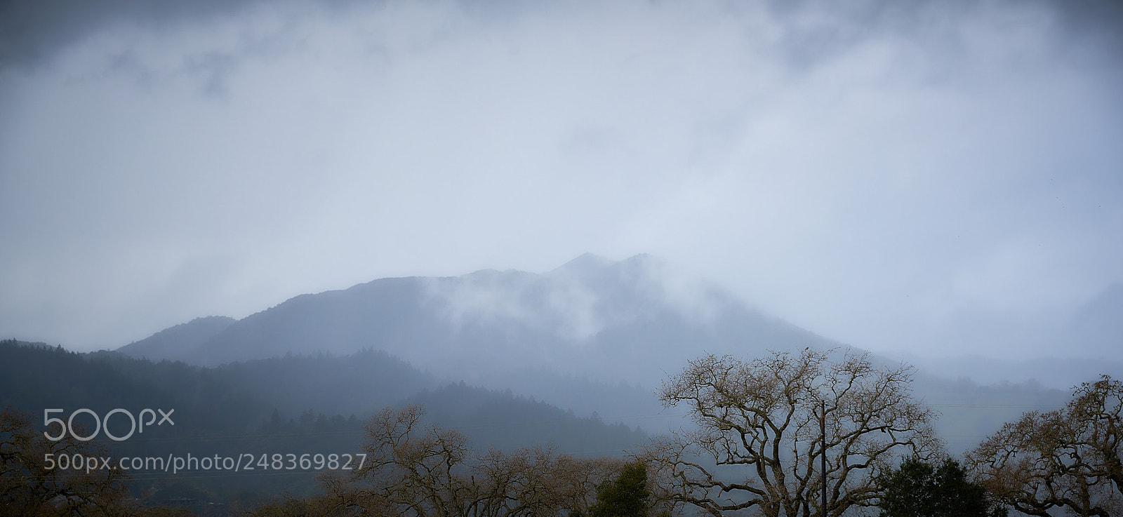 Nikon D810 sample photo. Fog photography