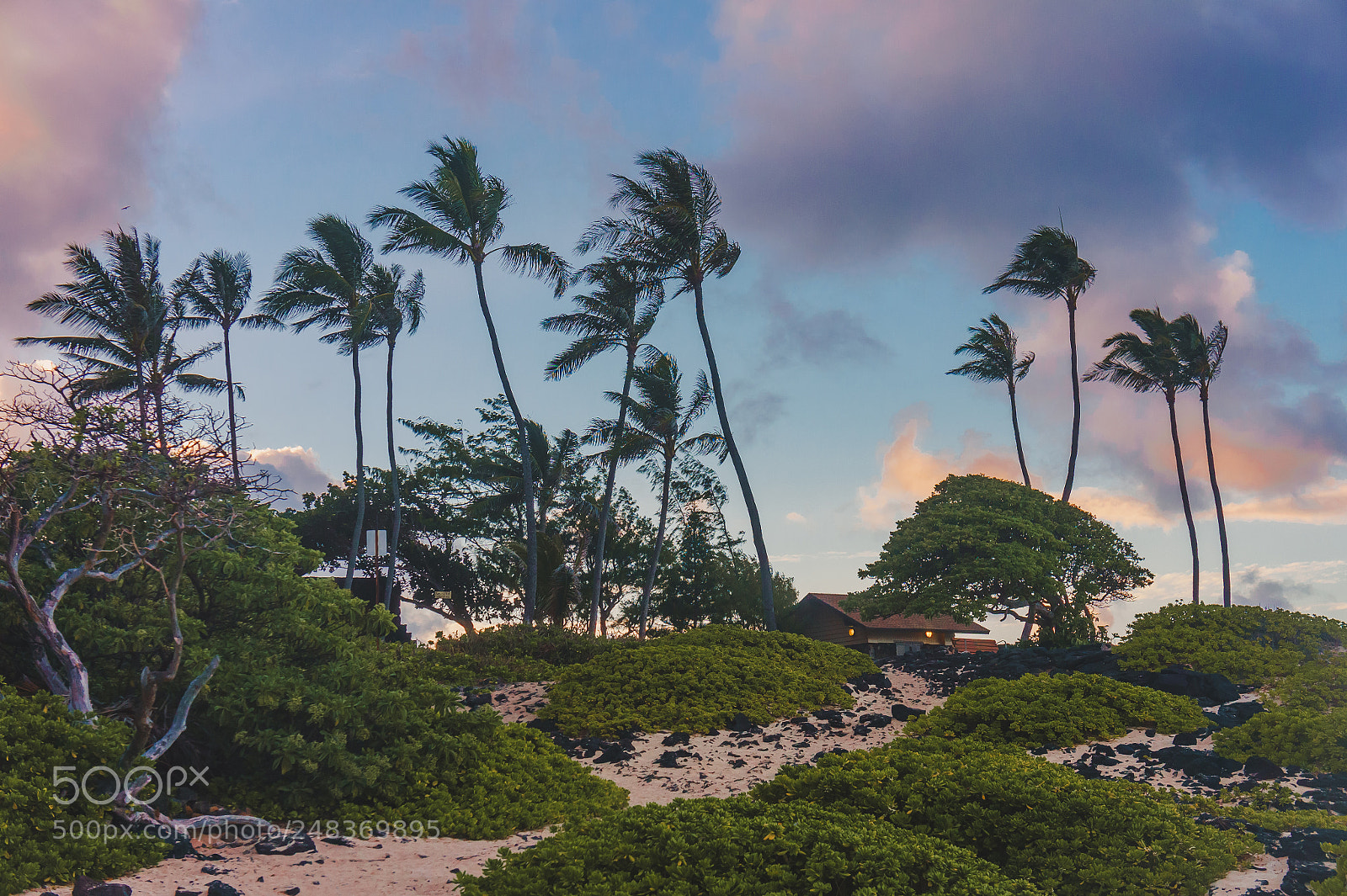 Sony Alpha NEX-5 sample photo. Sunset on oahu, hawaii photography