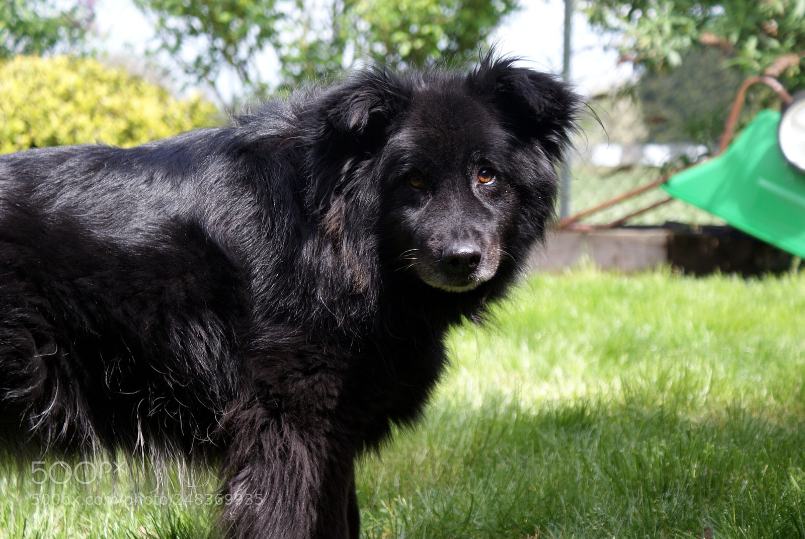 Sony DT 18-70mm F3.5-5.6 sample photo. Smokey photography