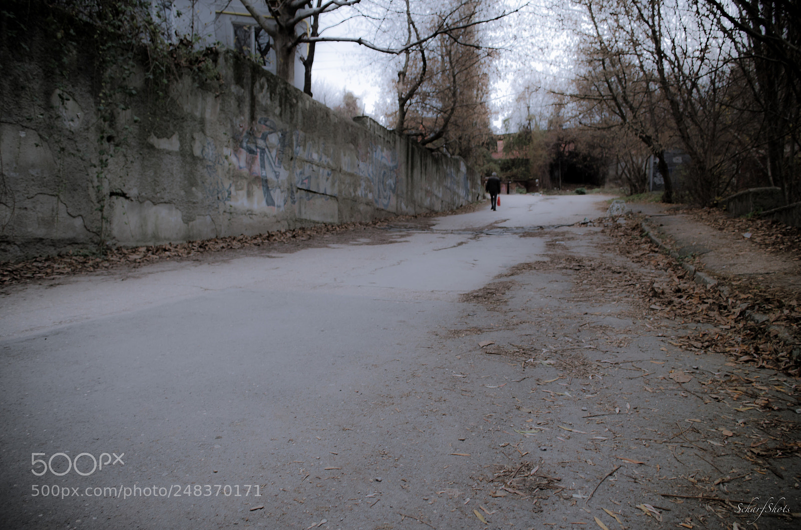 Nikon D5100 sample photo. Another obscurity photography