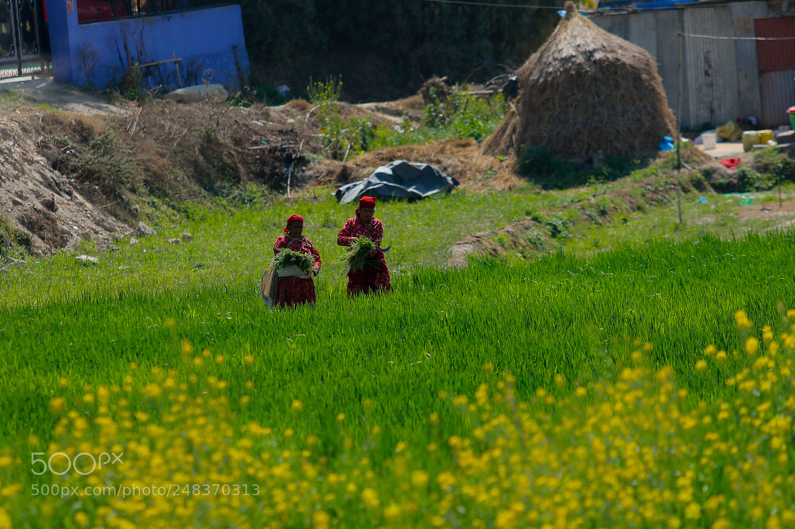 Canon EOS 7D Mark II sample photo. Women work on their photography