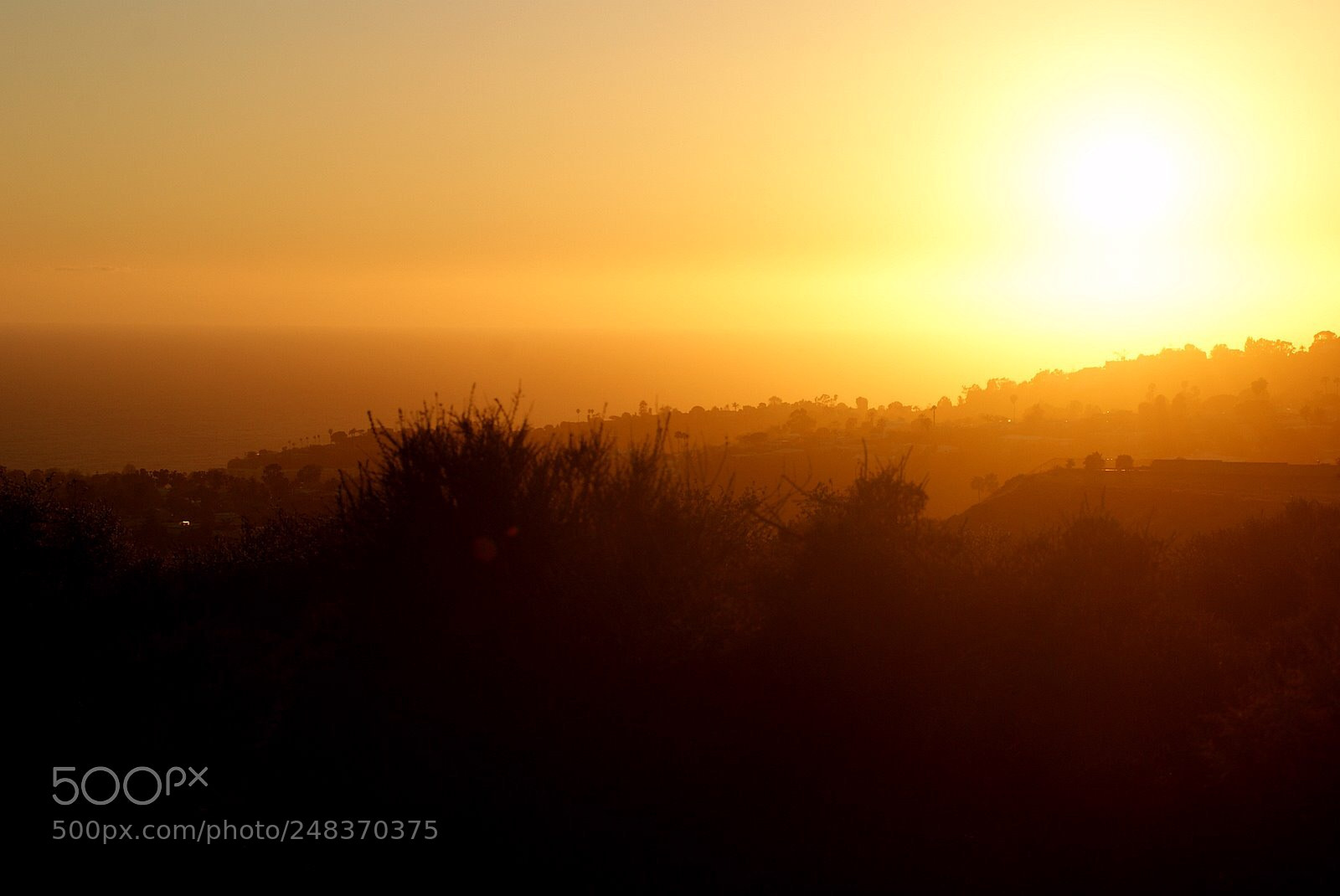 Sony Alpha DSLR-A200 sample photo. Untitled photography