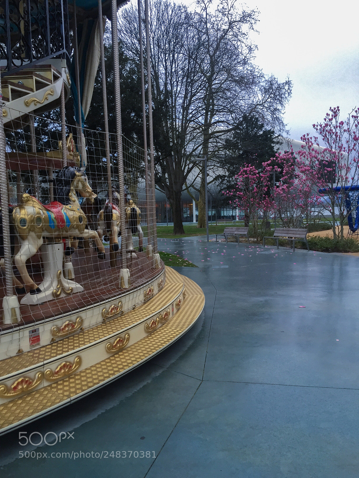 Apple iPhone 6 sample photo. Tiovivo photography