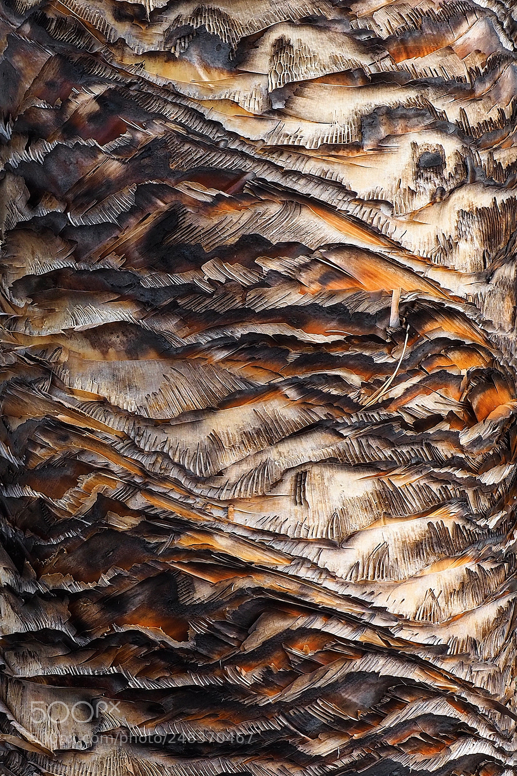 Olympus OM-D E-M5 II sample photo. Spirals photography