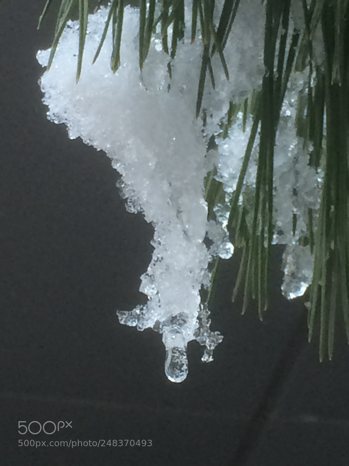 Apple iPhone 5s sample photo. Cold... photography