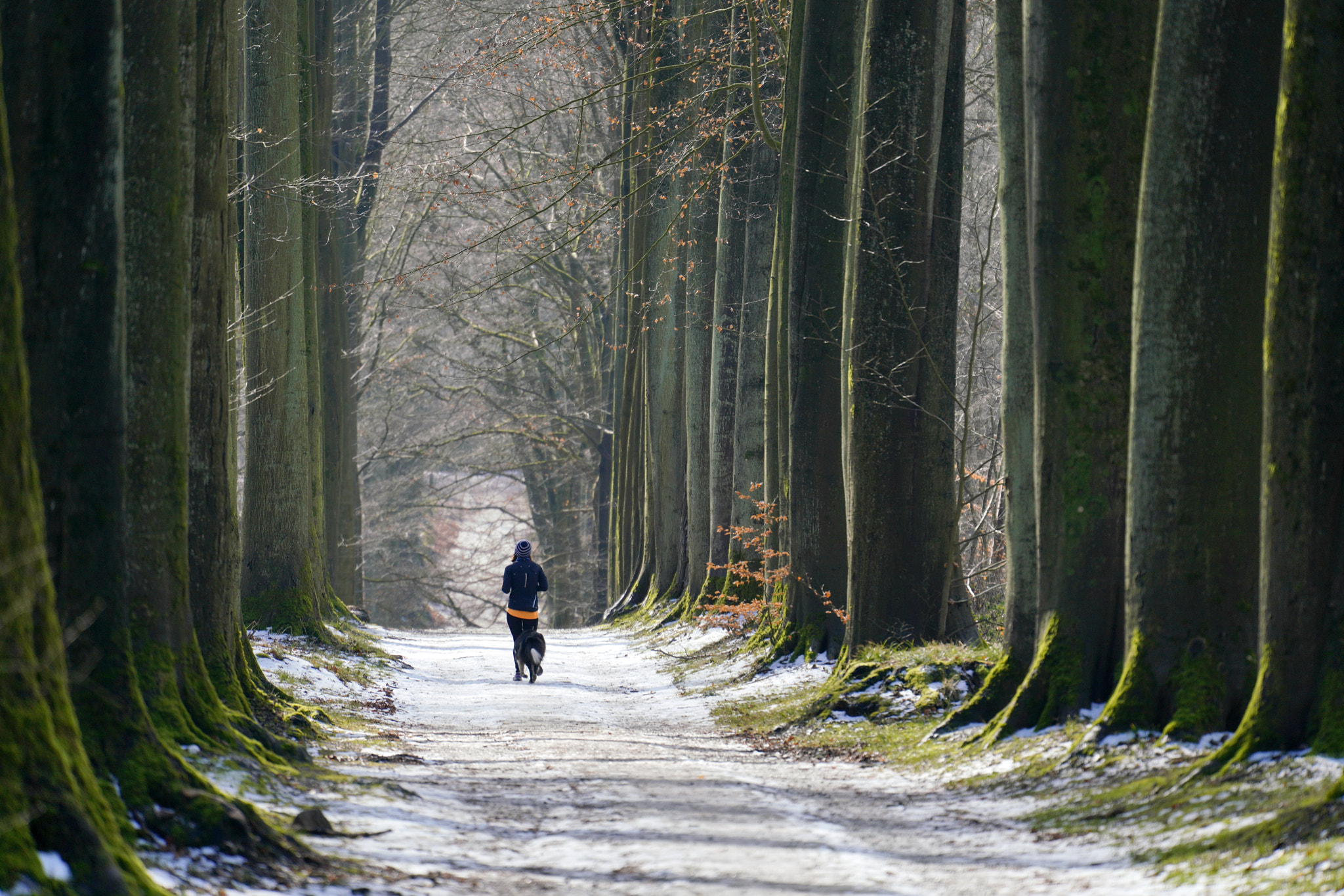 Sony FE 70-300mm F4.5-5.6 G OSS sample photo. Morning run with the dog photography