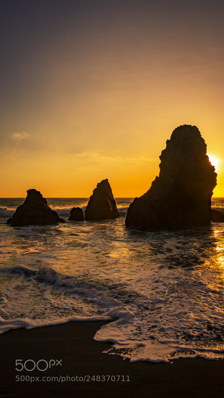 Sony a7R III sample photo. Ocean of light photography