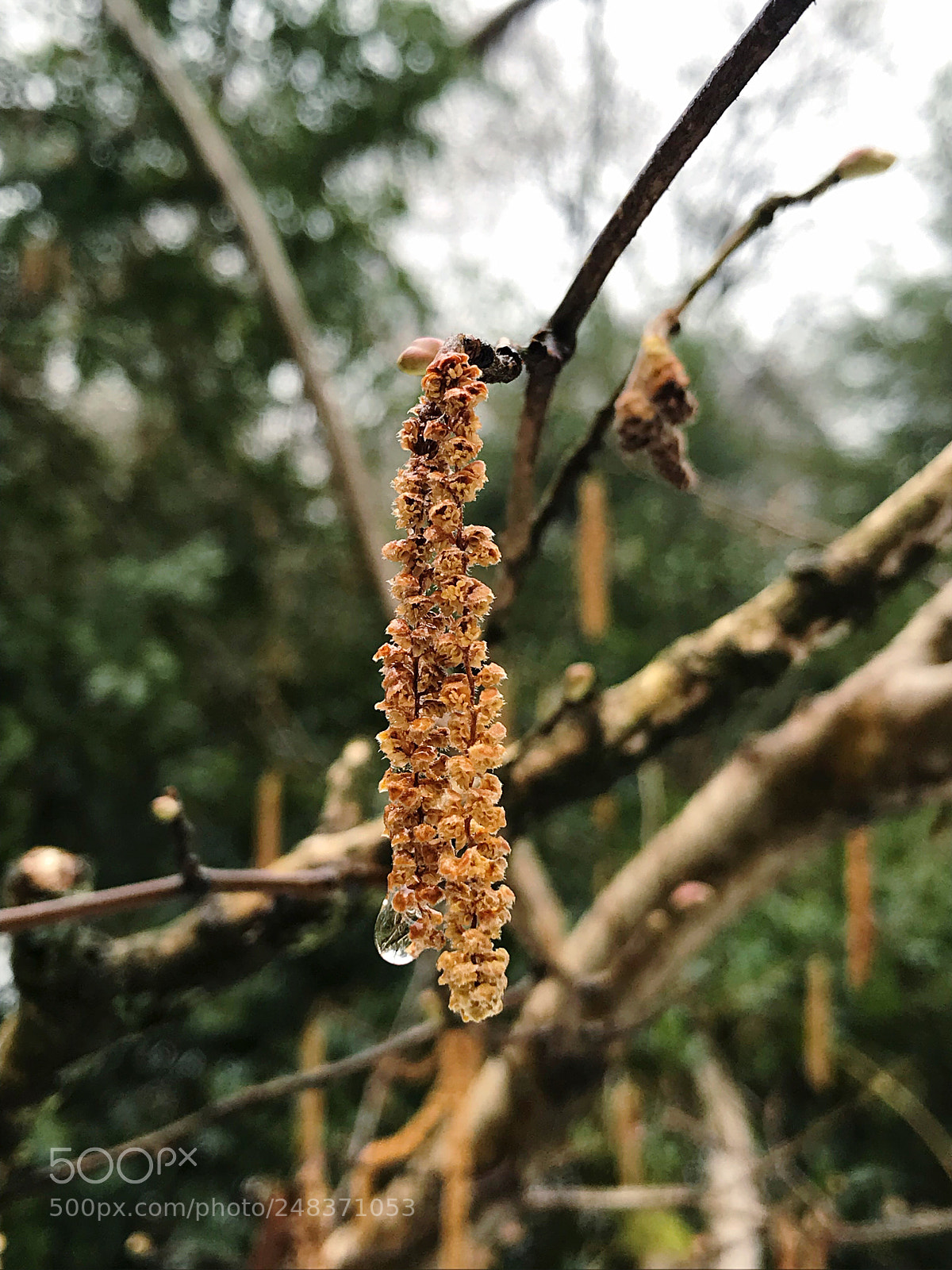 Apple iPhone 7 sample photo. The last one photography