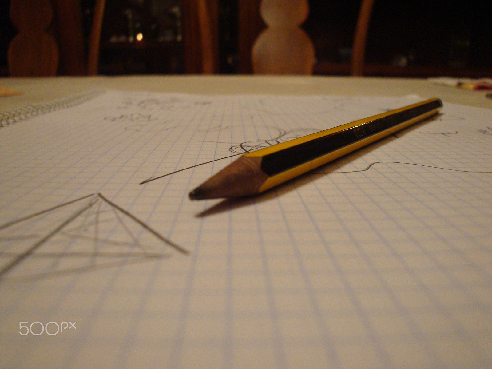 Sony Cyber-shot DSC-W170 sample photo. Pen photography
