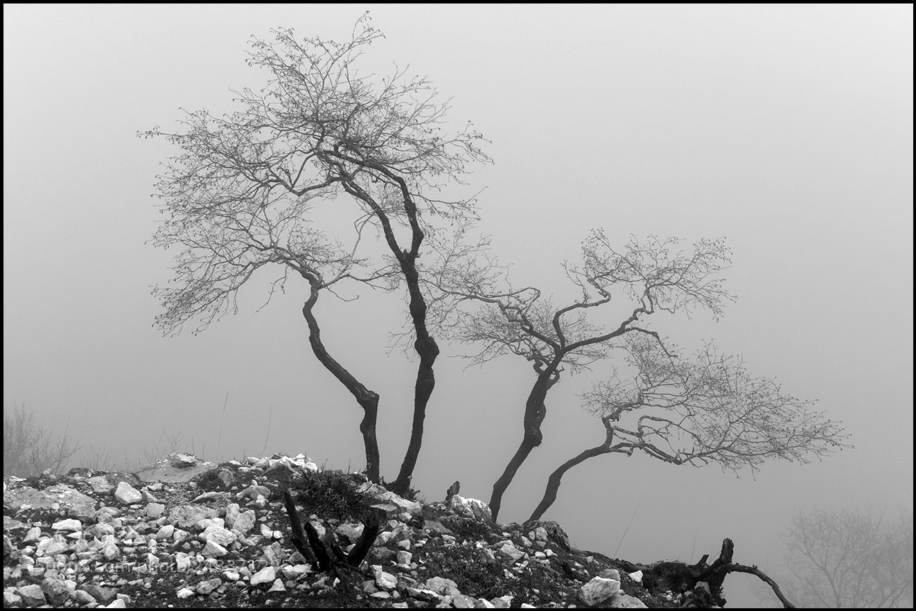 Nikon D810 sample photo. G1 & g2 photography