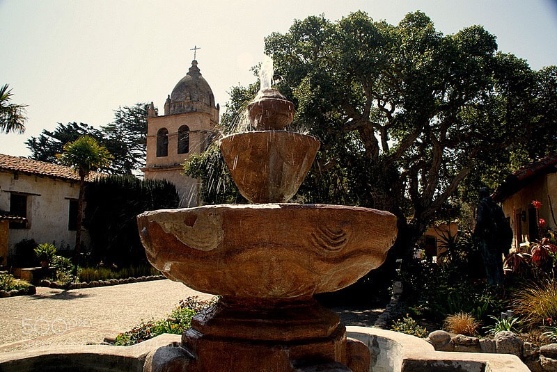Sony Alpha DSLR-A200 sample photo. Untitled photography