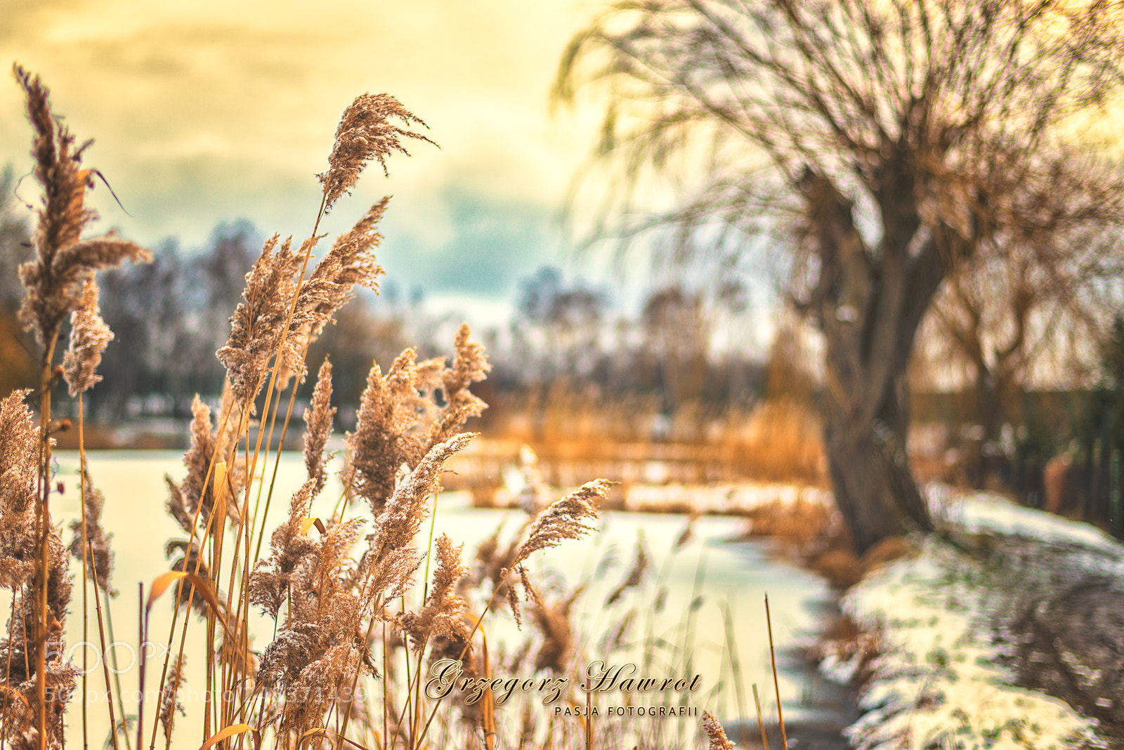 Nikon D800 sample photo. Moje spojrzenie na zimow photography