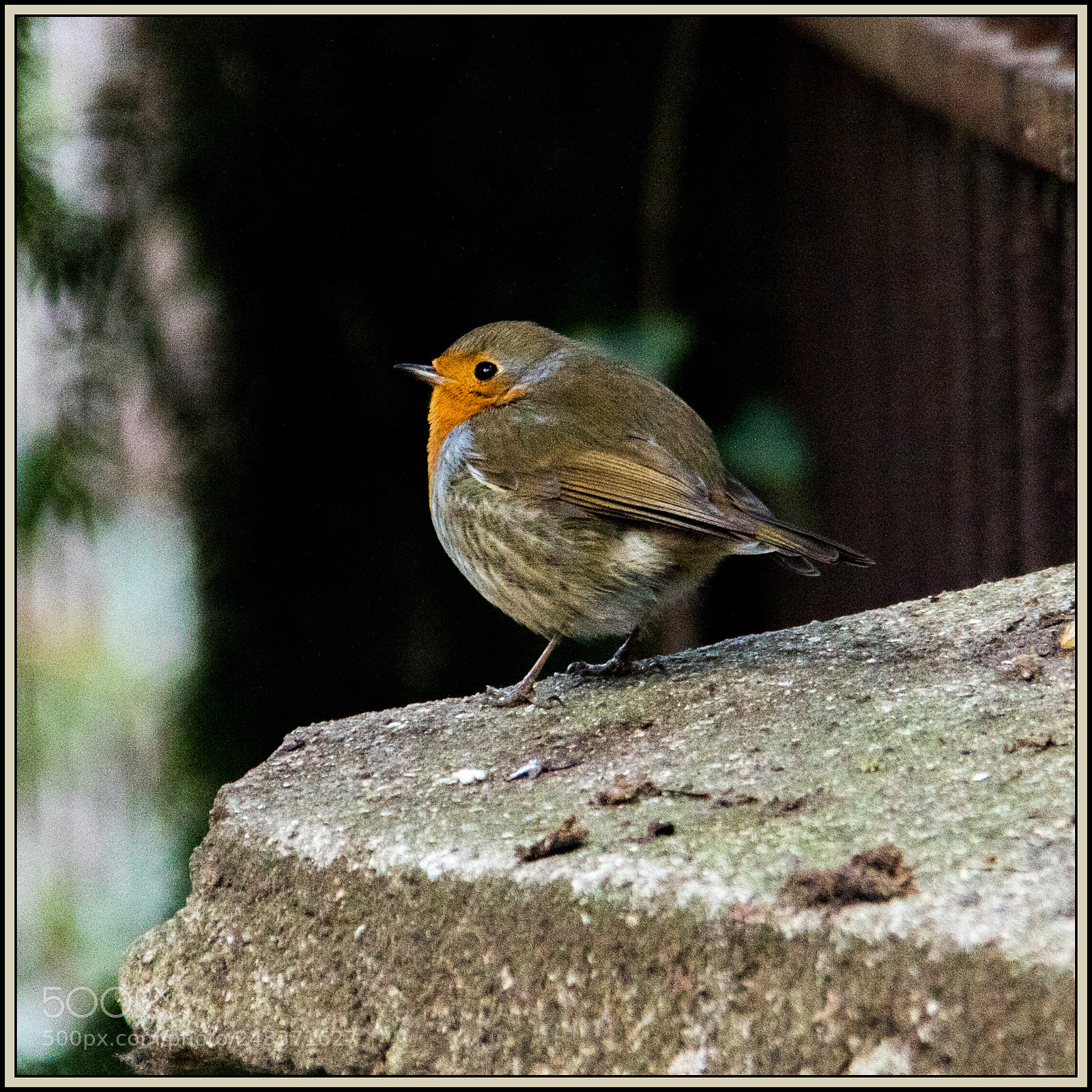 Canon EOS 7D Mark II sample photo. Je saute ou pas photography