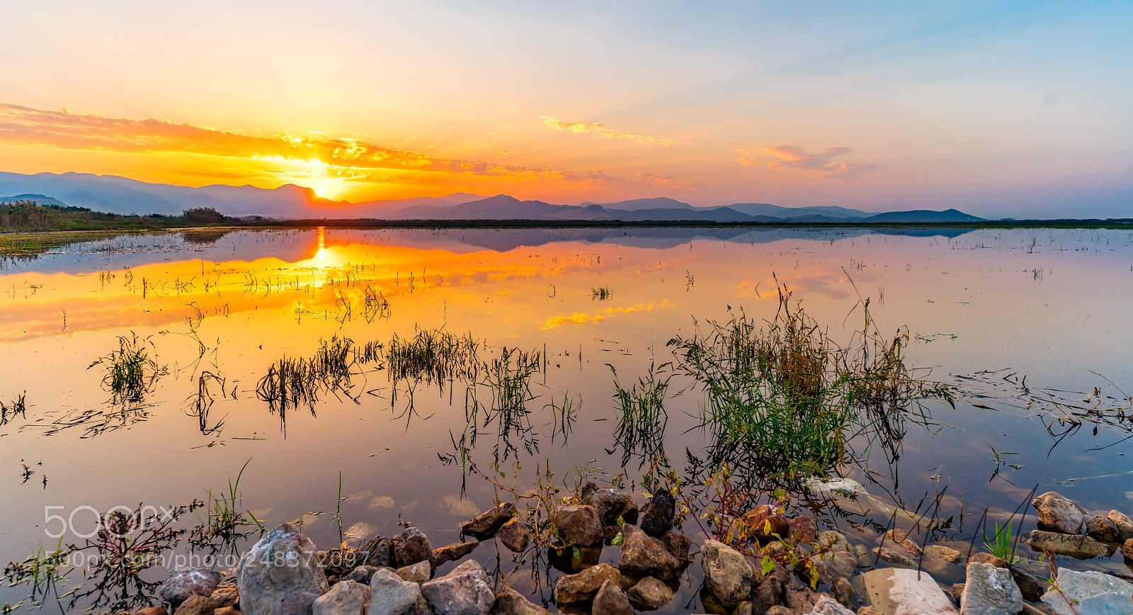 Sony a7R II sample photo. Sunset over the rice photography