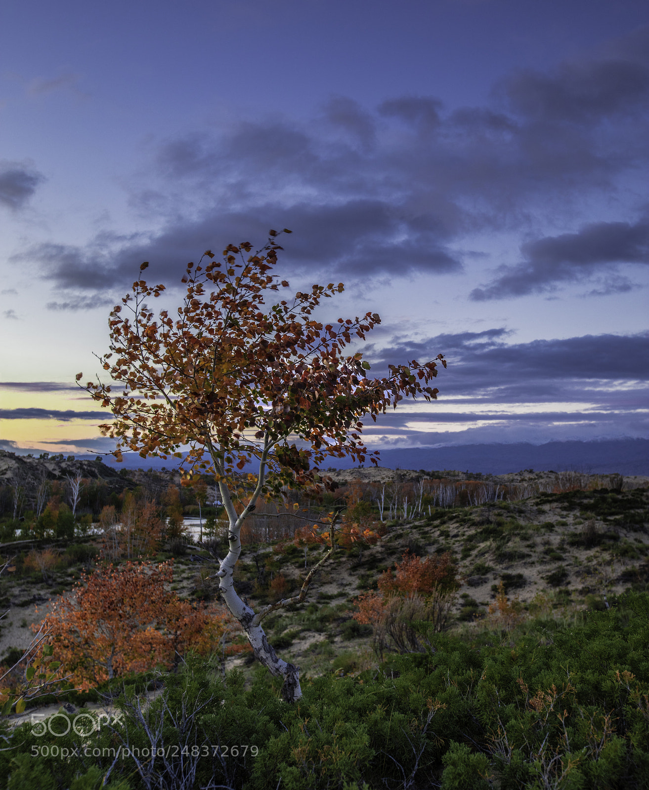 Canon EOS 5DS R sample photo. A photography