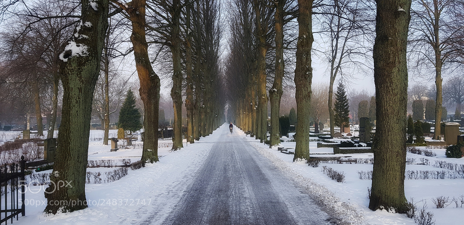Samsung Galaxy S8+ sample photo. Icy road photography