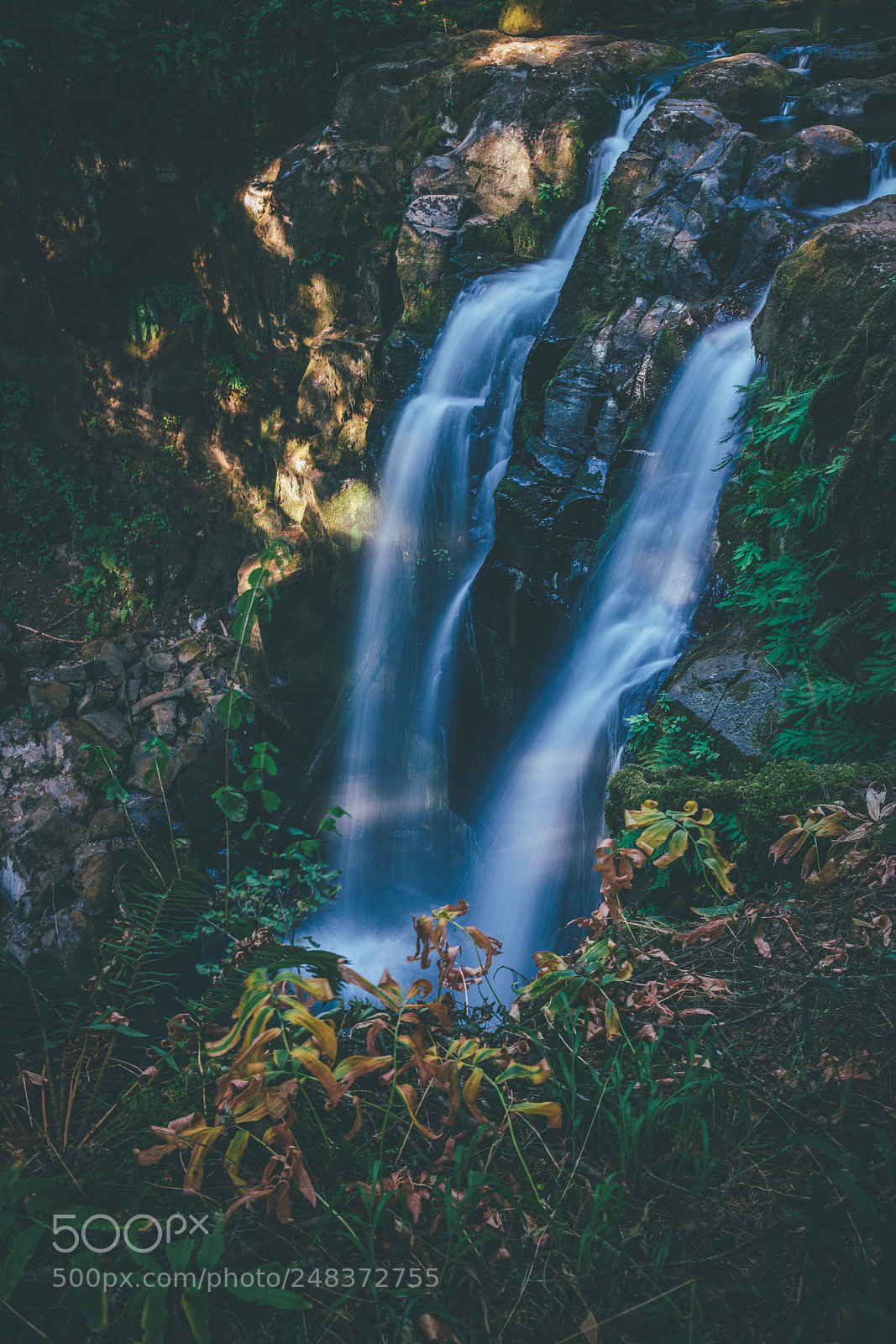 Sony a7R II sample photo. Majestic falls photography