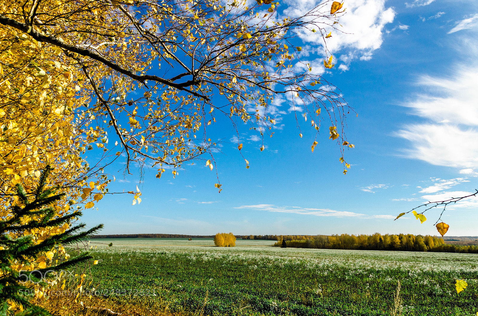 Nikon D5100 sample photo. Autumn colors photography