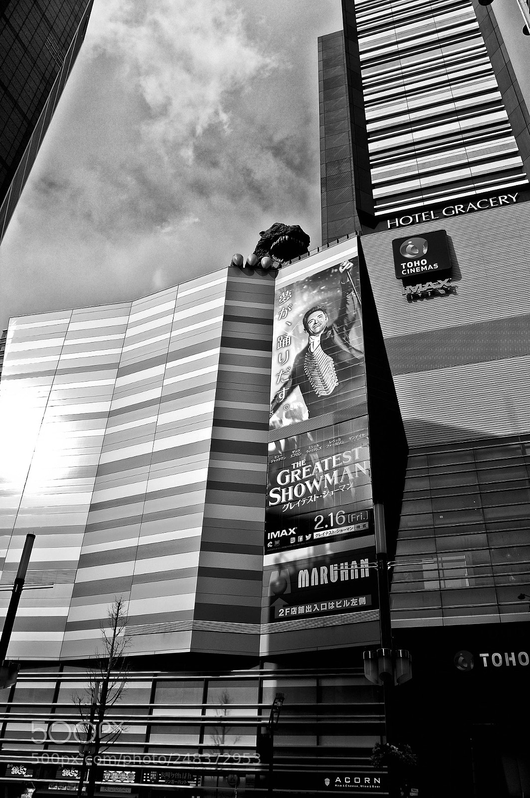 Fujifilm FinePix X100 sample photo. Tokyo photography