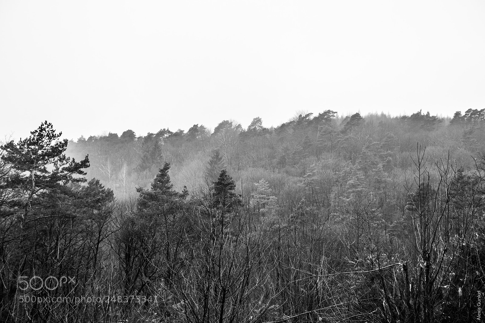 Canon EOS 7D Mark II sample photo. Dans les vosges photography