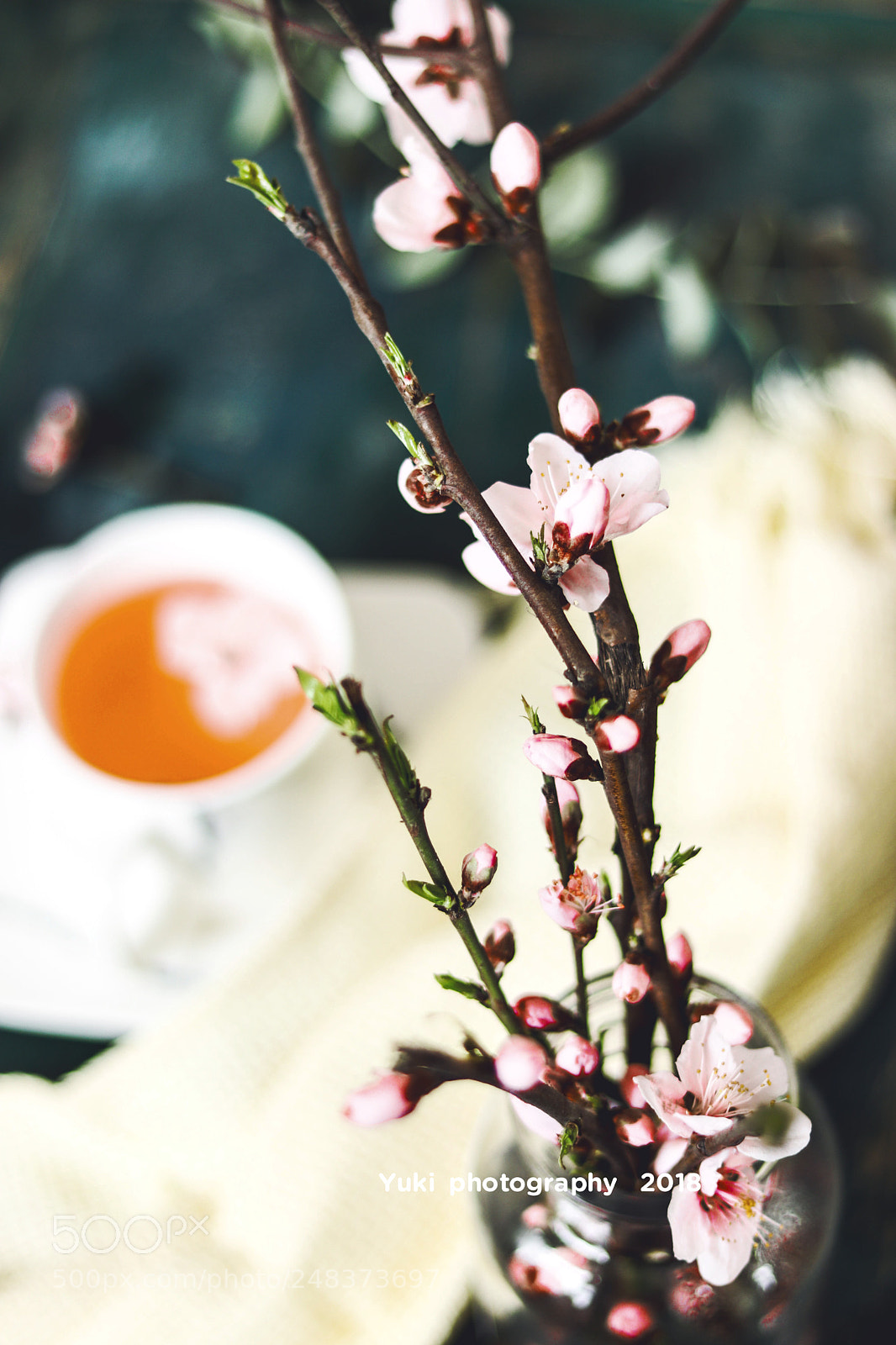 Canon EOS 77D (EOS 9000D / EOS 770D) sample photo. Untitled photography