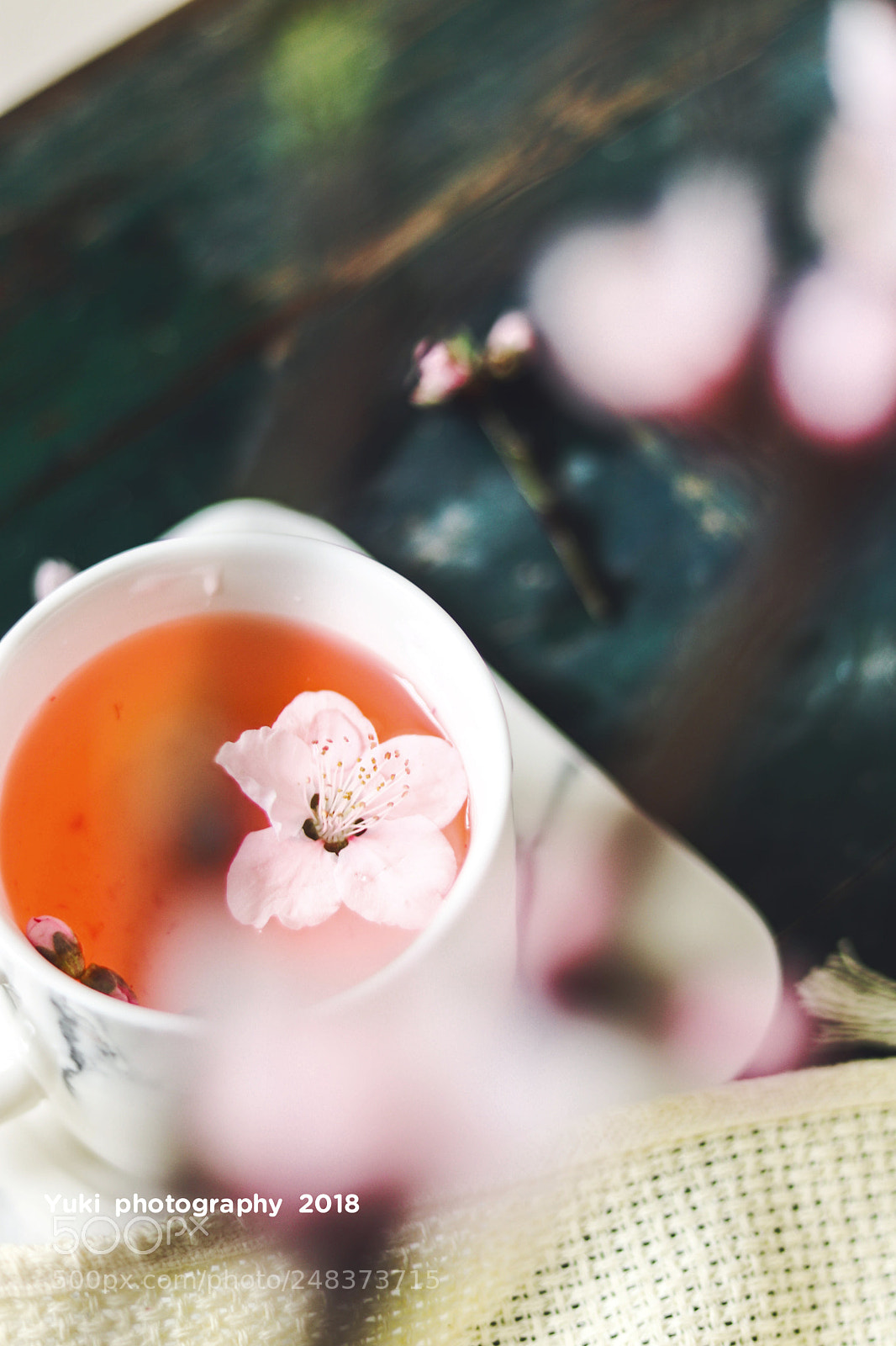 Canon EOS 77D (EOS 9000D / EOS 770D) sample photo. Untitled photography