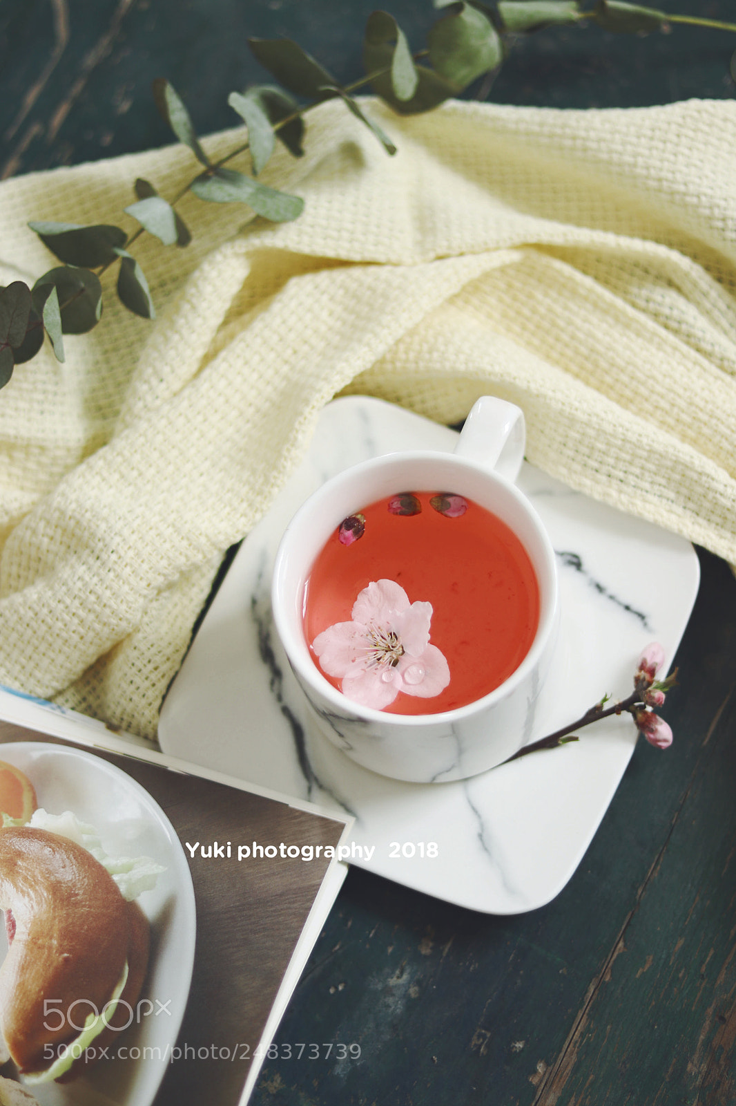 Canon EOS 77D (EOS 9000D / EOS 770D) sample photo. Untitled photography