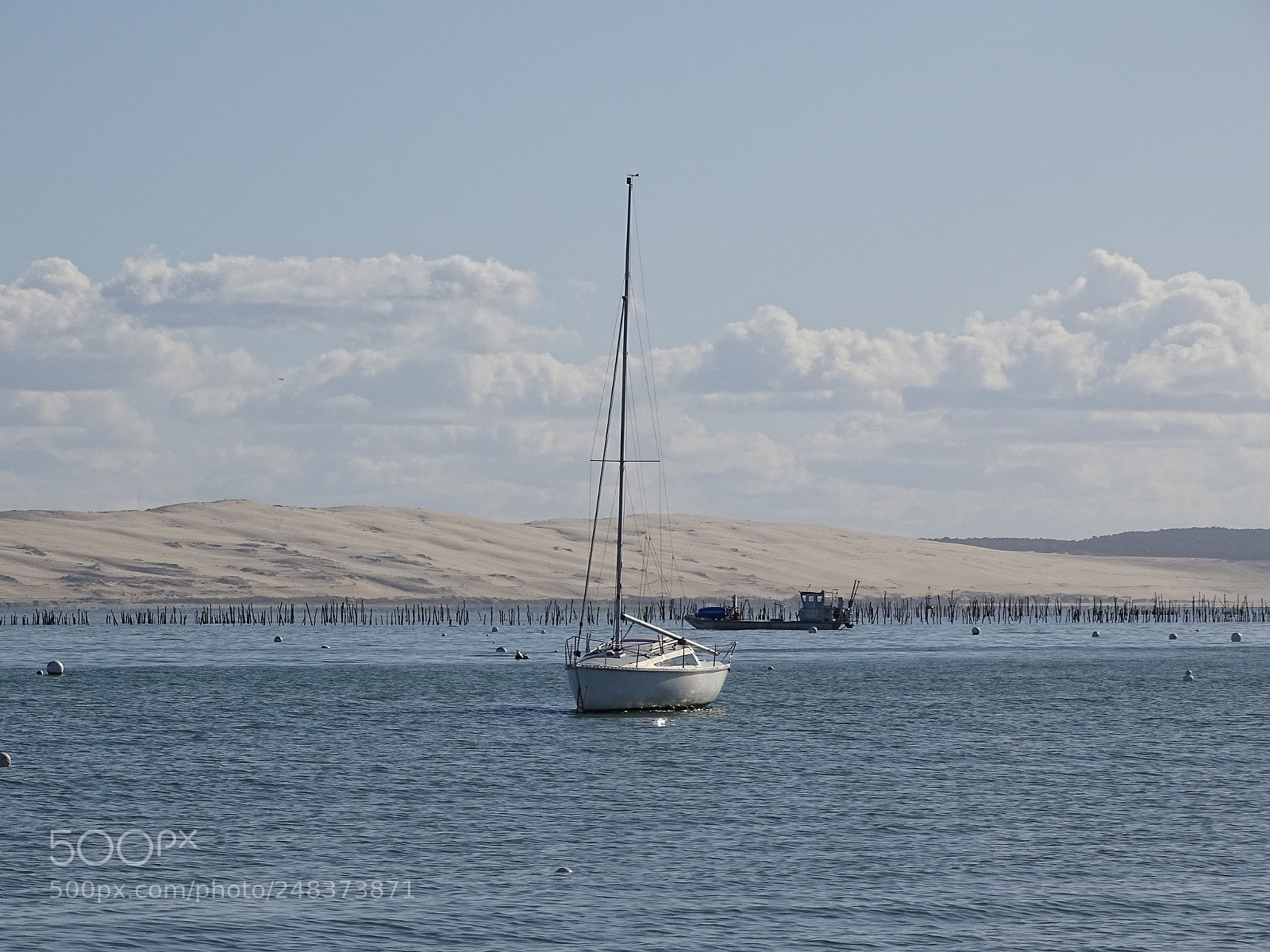Sony Cyber-shot DSC-HX400V sample photo. Dsc photography