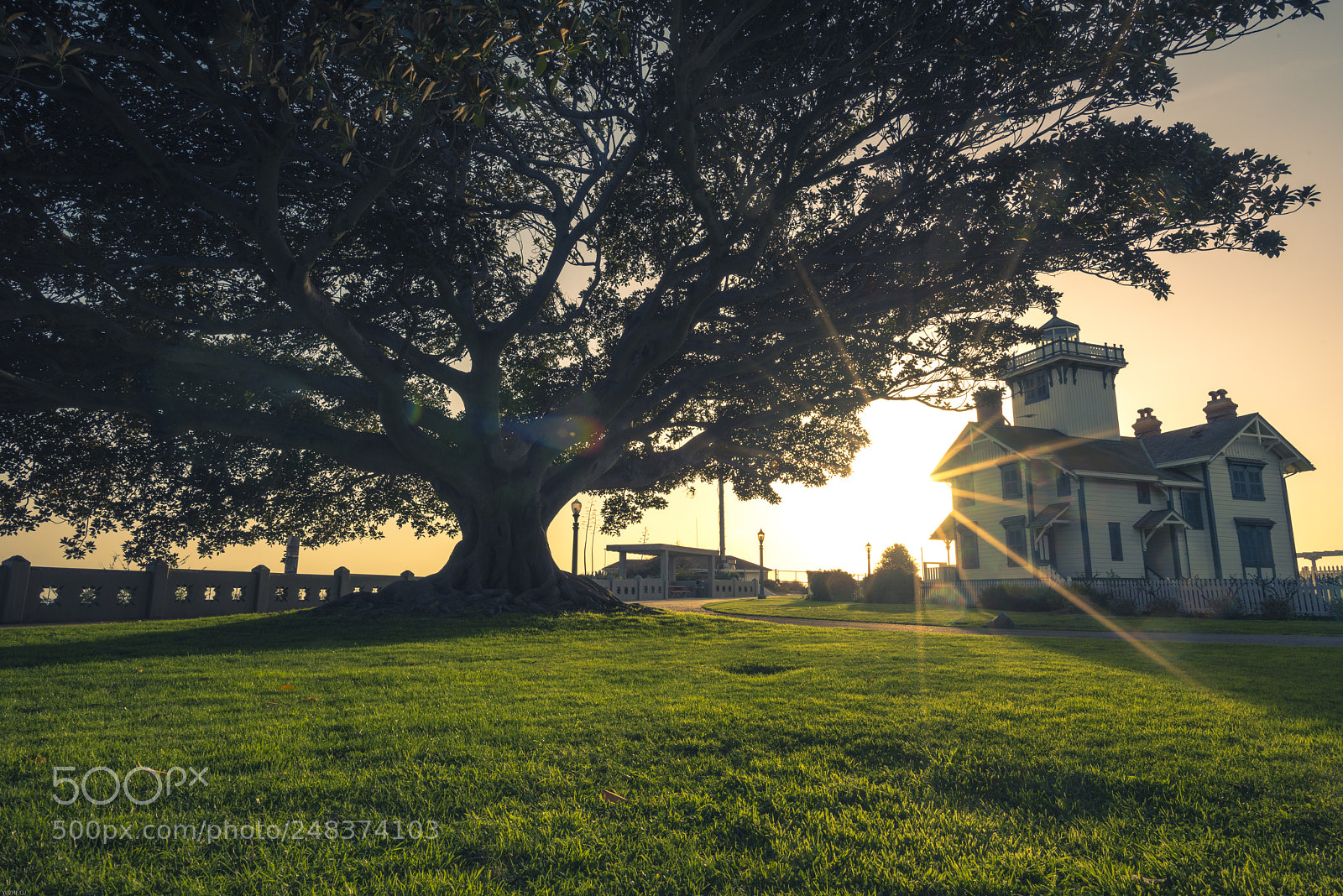 Nikon D810 sample photo. Untitled photography