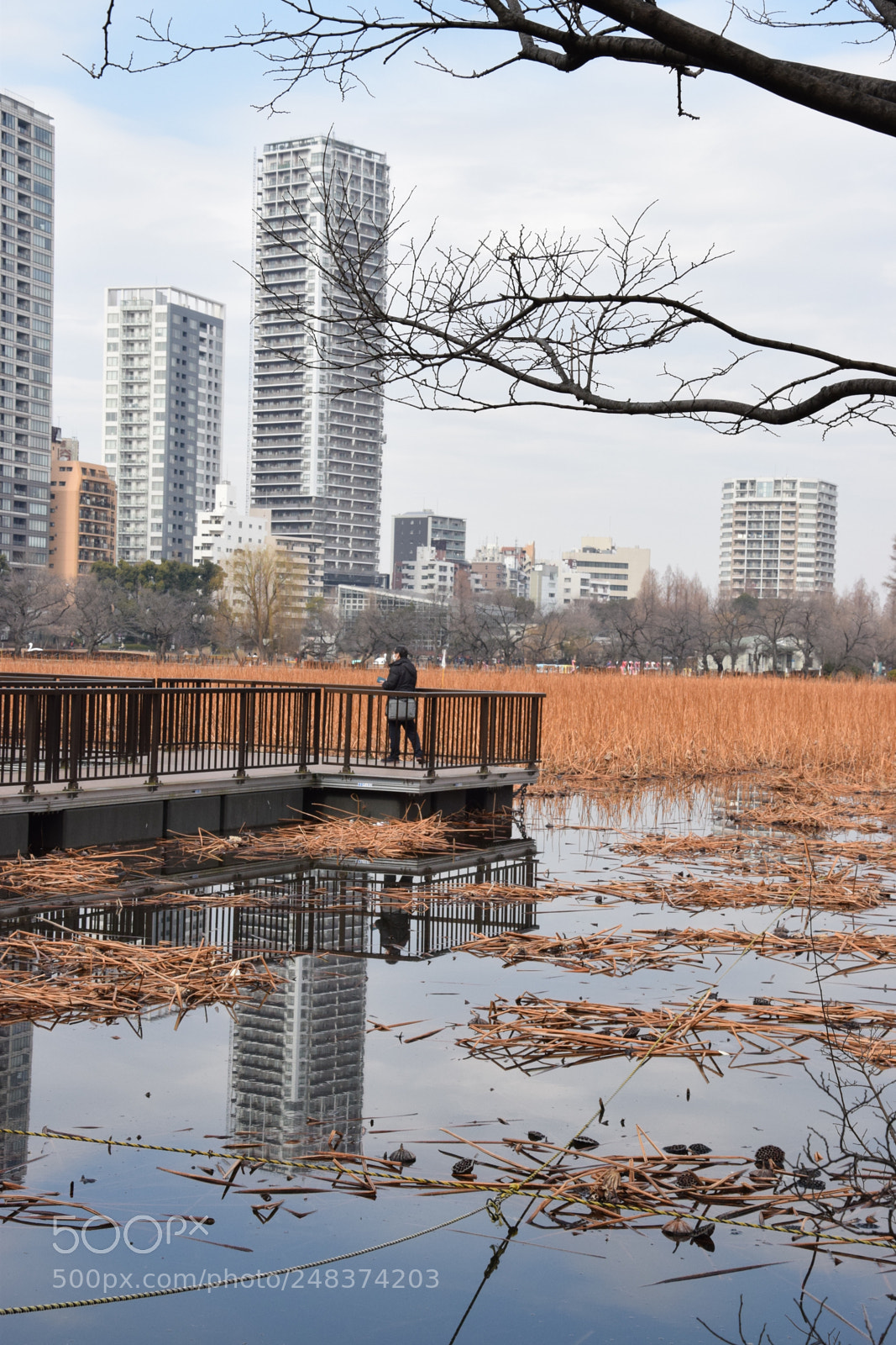 Nikon D5300 sample photo. Reflection photography