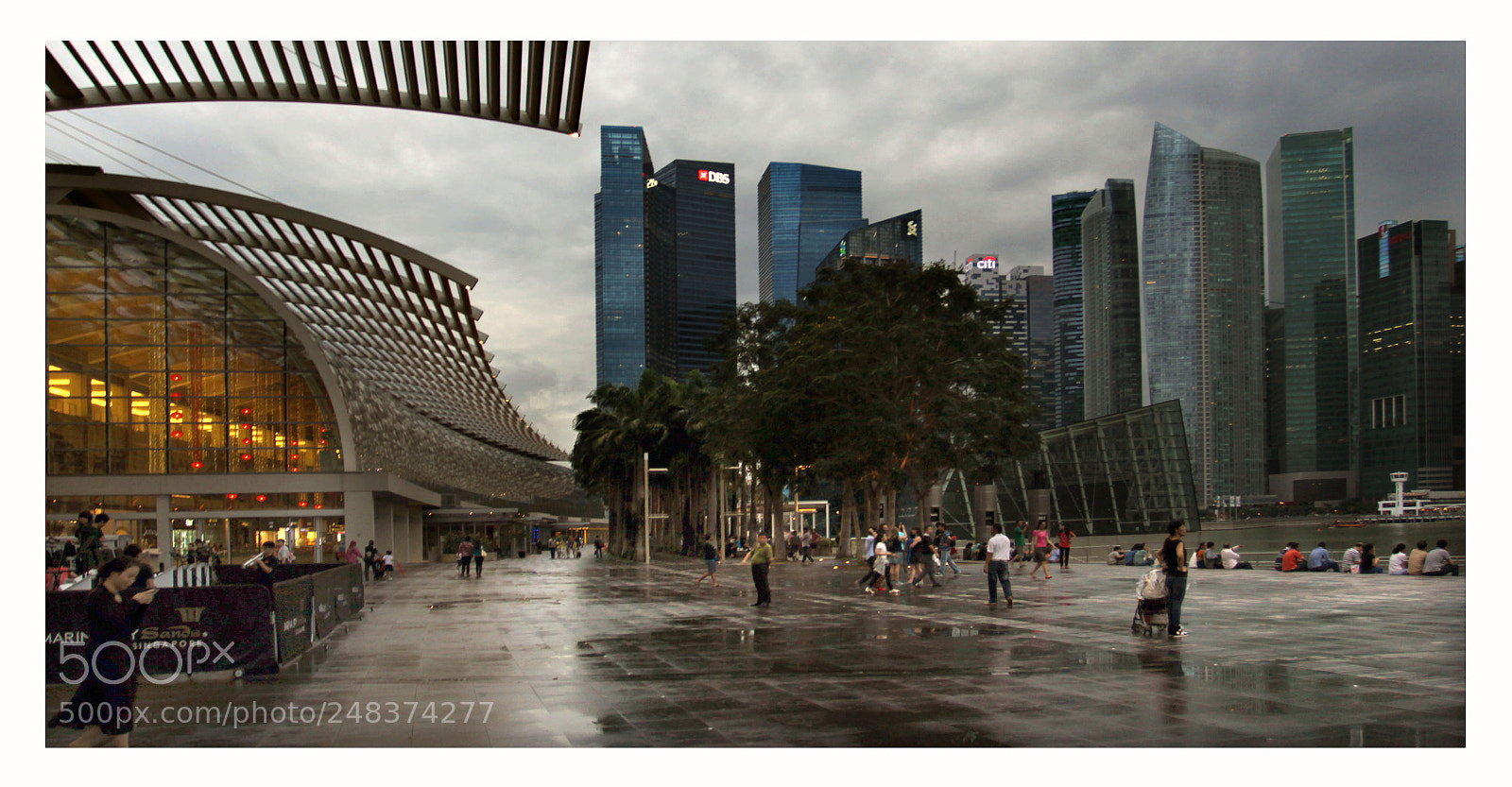 Canon EOS 50D sample photo. After the rain  singapore photography