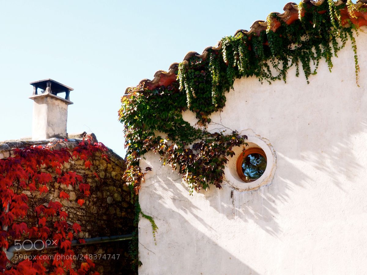 Olympus OM-D E-M5 II sample photo. Hublot photography