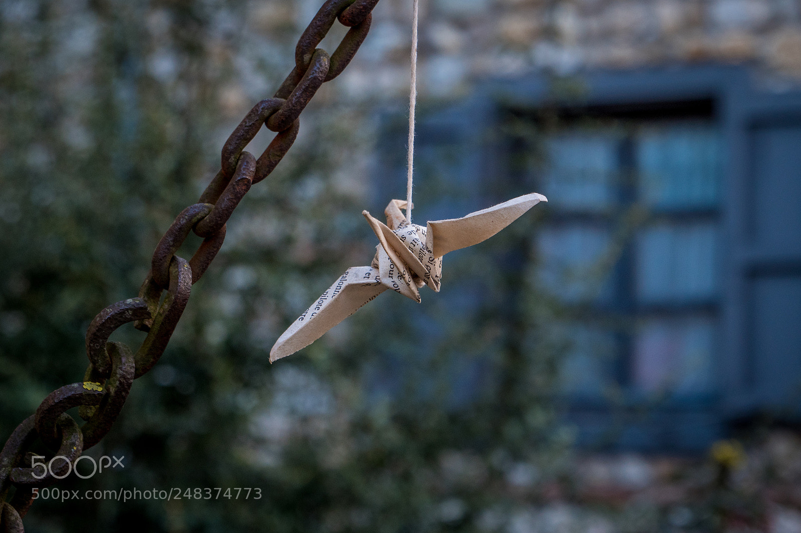 Panasonic Lumix DC-GH5 sample photo. L'oiseau en papier photography