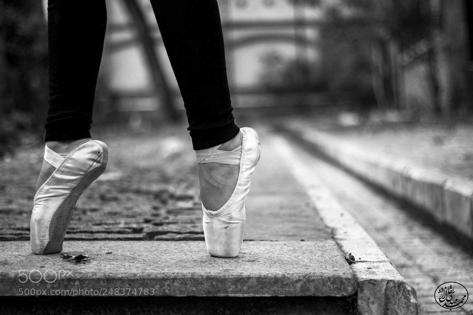 Canon EOS 750D (EOS Rebel T6i / EOS Kiss X8i) sample photo. Ballet photography