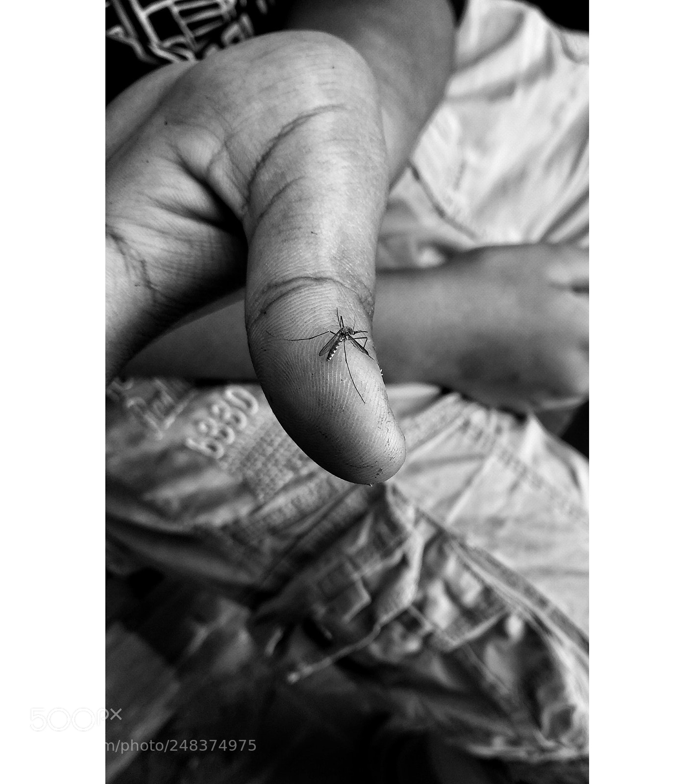 Xiaomi Mi A1 sample photo. Untitled photography