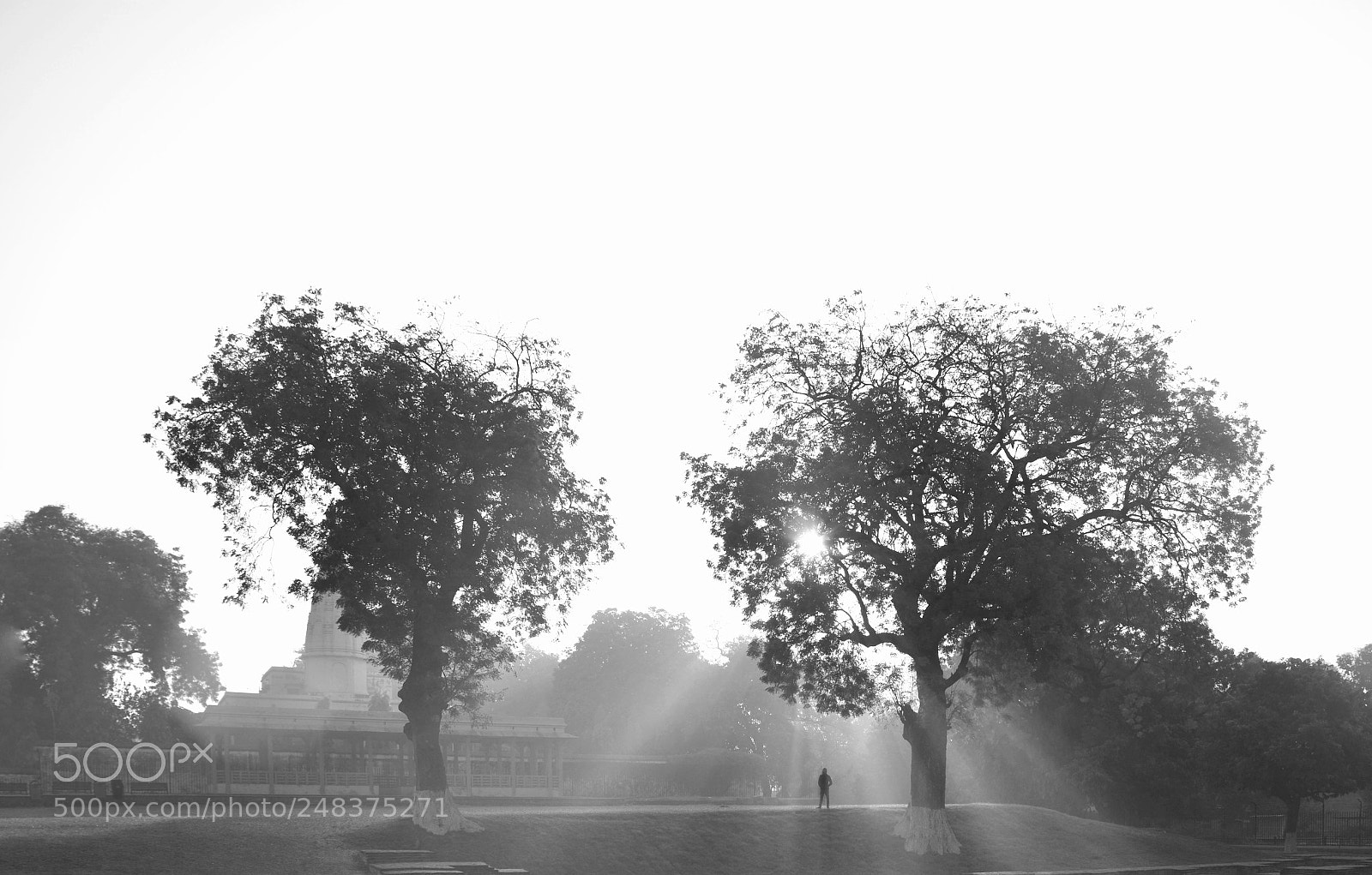 Nikon D5200 sample photo. Morning bliss photography