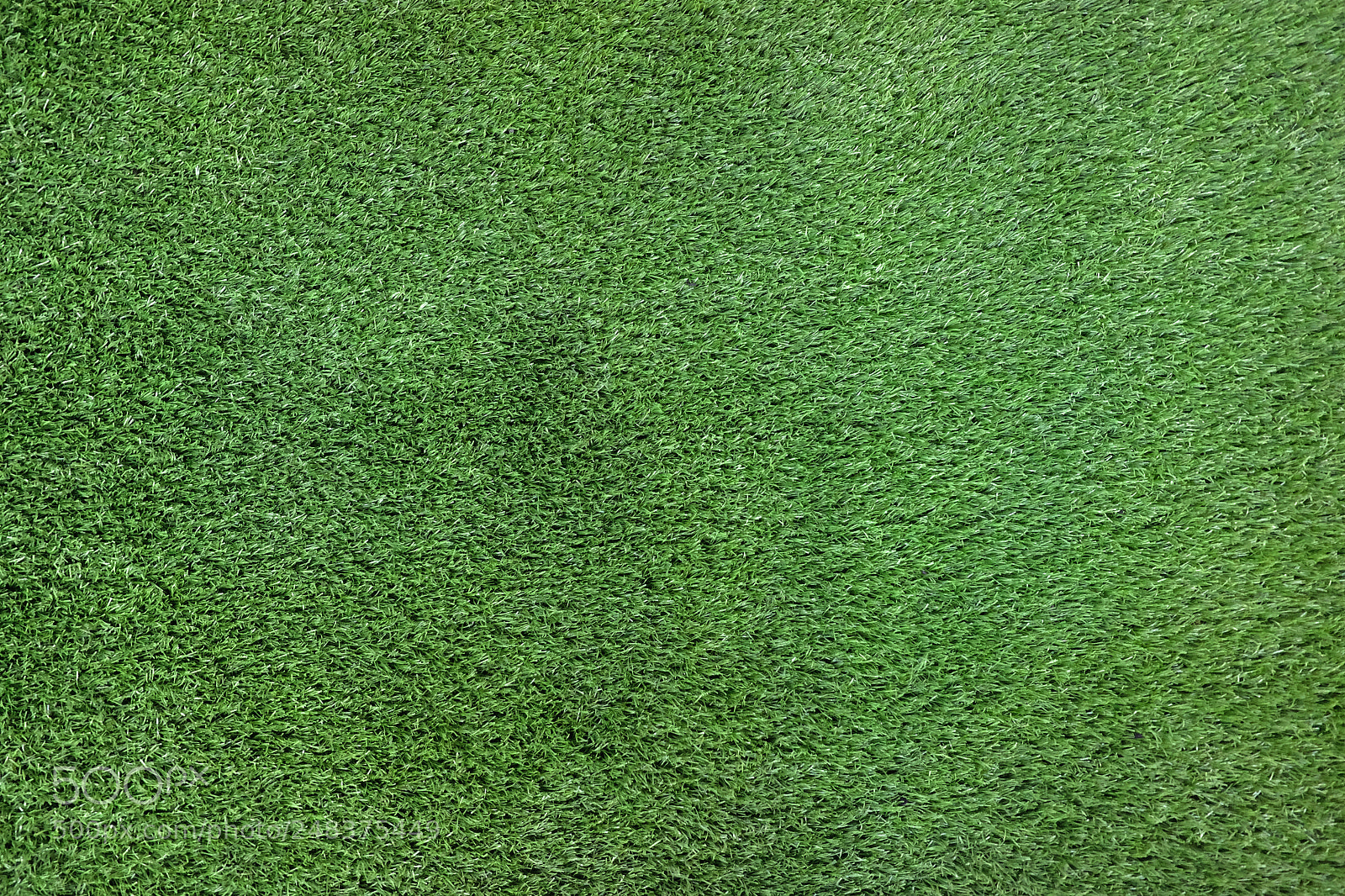 Fujifilm X70 sample photo. Grass background photography