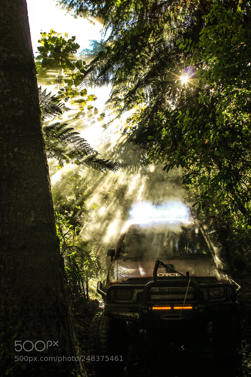 Canon EOS 500D (EOS Rebel T1i / EOS Kiss X3) sample photo. Old hilux creeping through photography