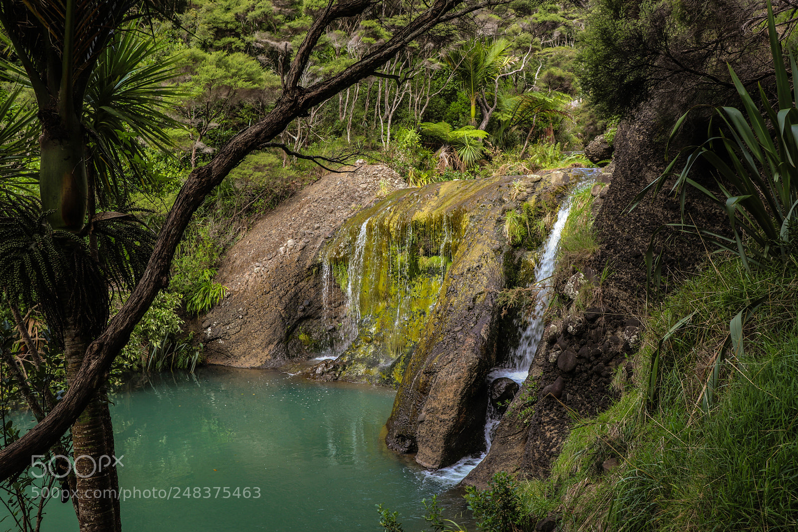 Canon EOS 800D (EOS Rebel T7i / EOS Kiss X9i) sample photo. Waterfalls out behind bethells photography