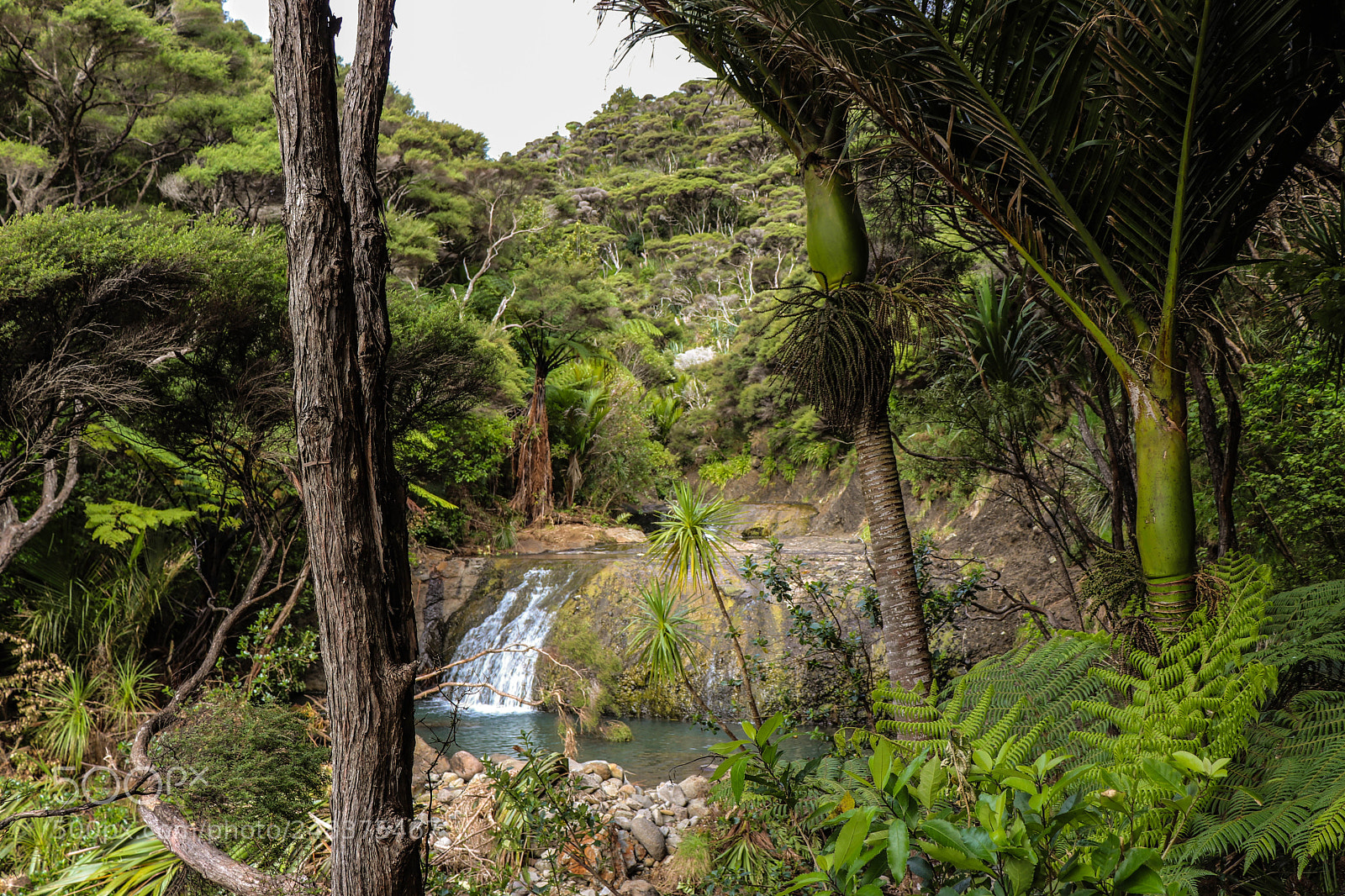 Canon EOS 800D (EOS Rebel T7i / EOS Kiss X9i) sample photo. Waterfalls out behind bethells photography