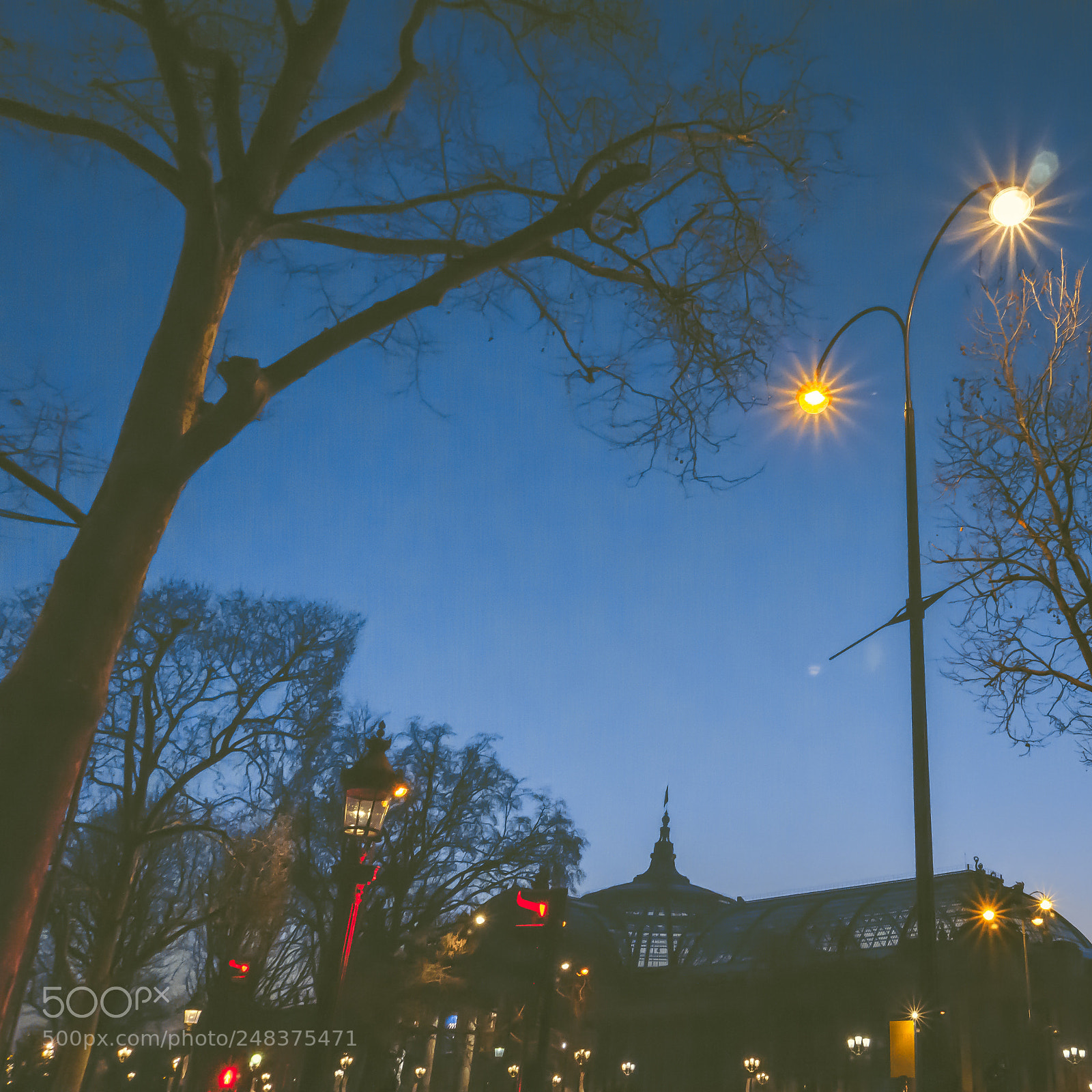 Sony a6000 sample photo. Grand palais photography