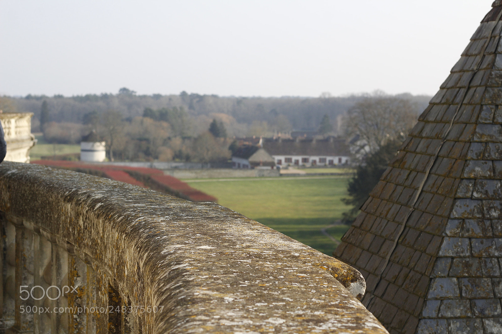 Canon EOS 1200D (EOS Rebel T5 / EOS Kiss X70 / EOS Hi) + Canon EF 50mm F1.8 STM sample photo. Paysage de chambord photography