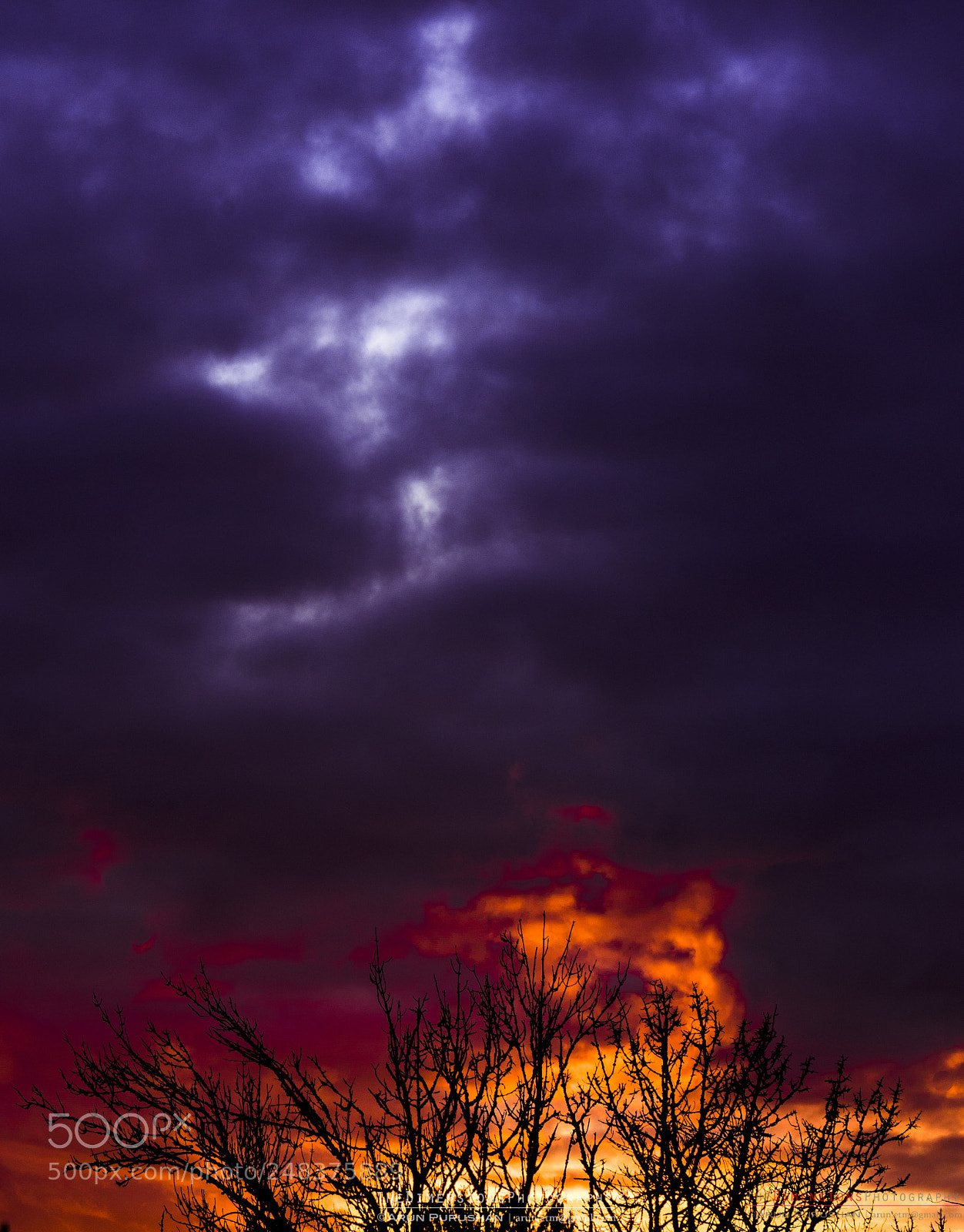 Sony a7R III sample photo. Ablaze photography